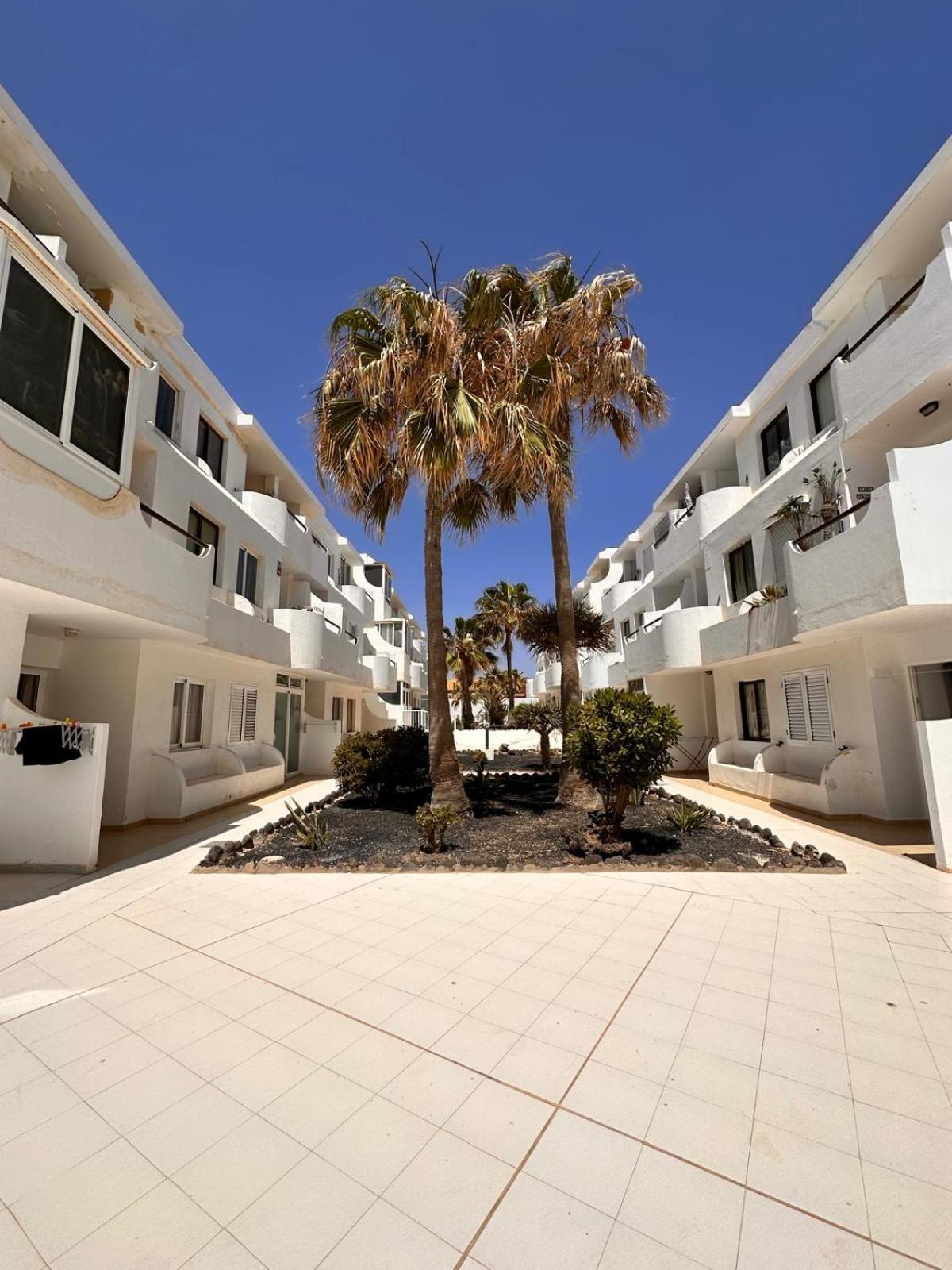 Casa Isabel Διαμέρισμα Costa De Antigua Εξωτερικό φωτογραφία