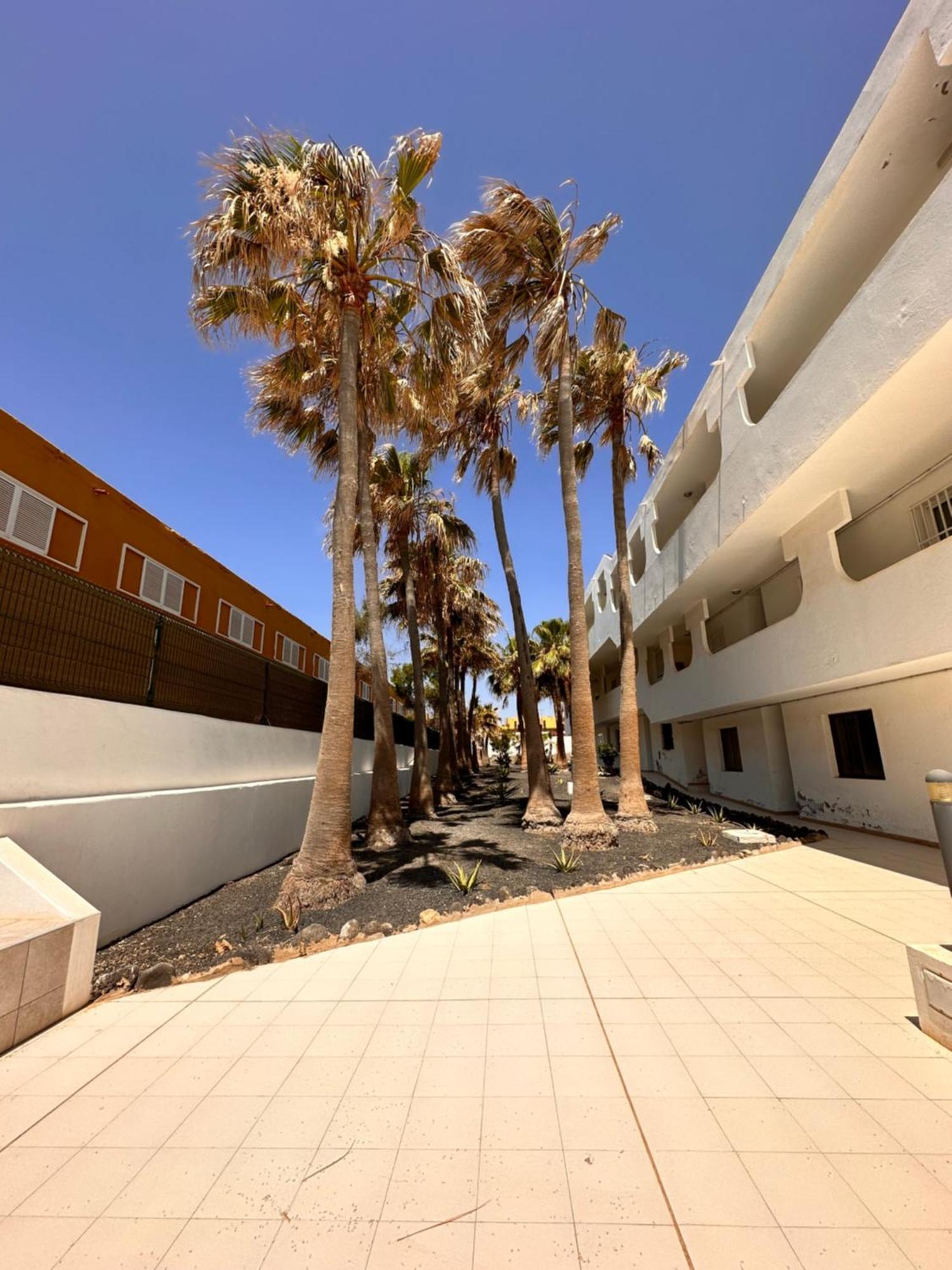 Casa Isabel Διαμέρισμα Costa De Antigua Εξωτερικό φωτογραφία